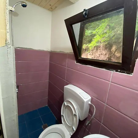 Hostel Riverside Komani *